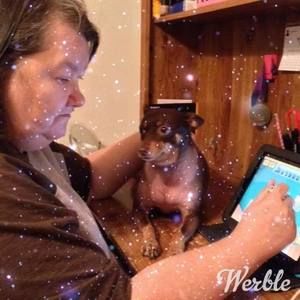 Meet your Posher, Bonnie